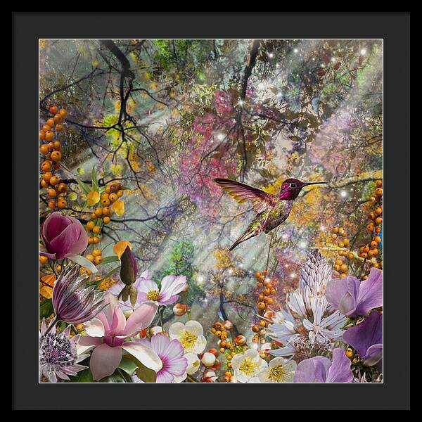 Bliss - Framed Print