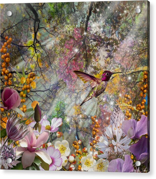 Bliss - Acrylic Print