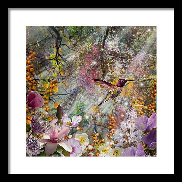 Bliss - Framed Print